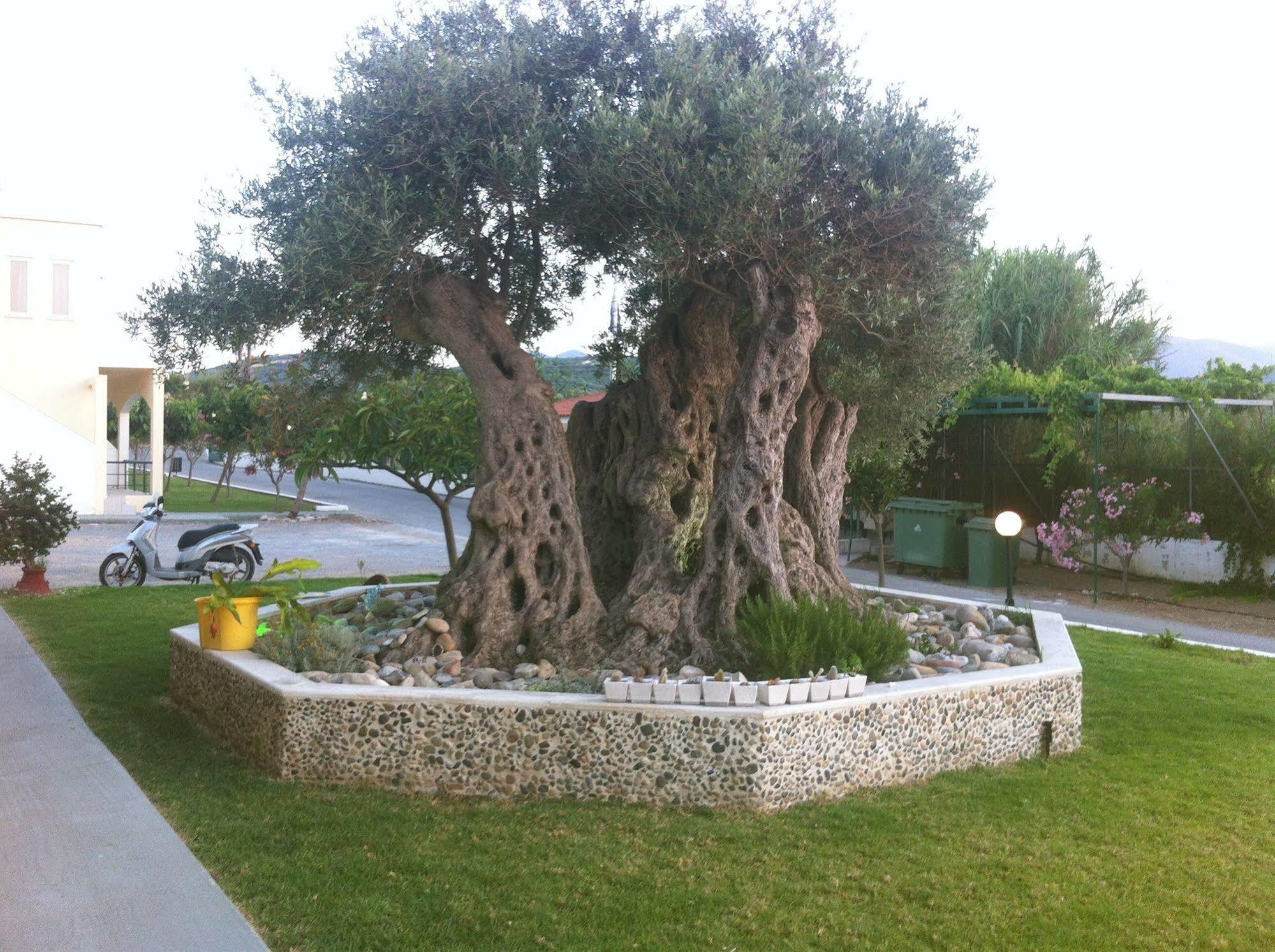 קיסאמוס Mediterranean Hotel & Apartments מראה חיצוני תמונה